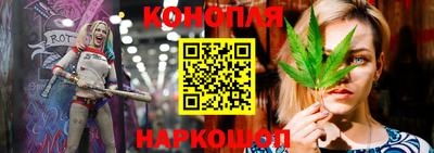 jwh Бийск