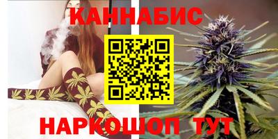 индика Аргун