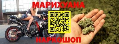 индика Аргун