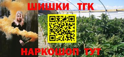 индика Аргун