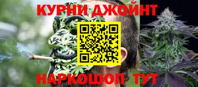 индика Аргун